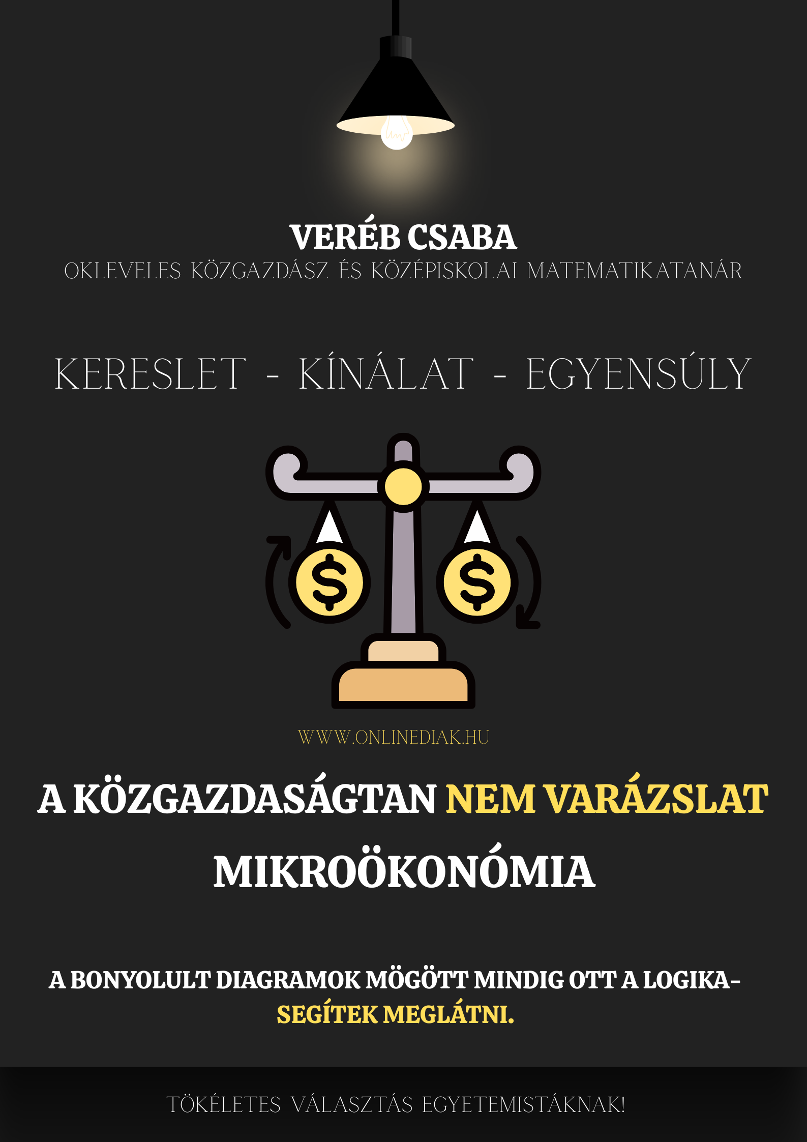 A közgazdaságtan nem varázslat – Mikroökonómia