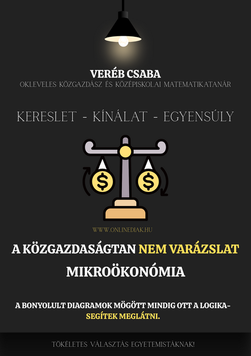 A közgazdaságtan nem varázslat – Mikroökonómia